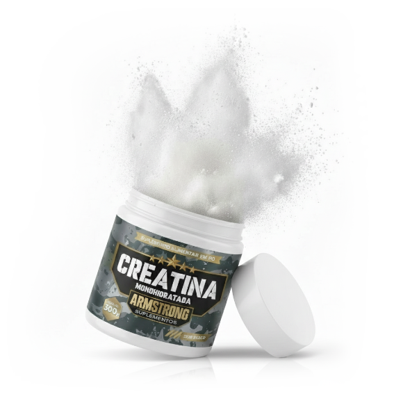 Anatomia da Cápsula